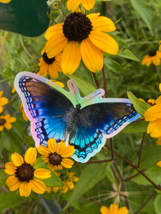 "Blue Butterfly" Holographic sticker or magnet