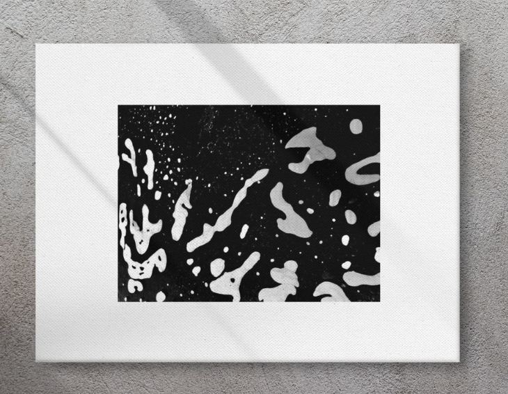 Interstellar Canvas Print